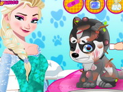 Play Elsa Queen Doctor Puppy