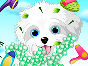 Play My Puppy Care