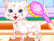 Play Puppy And Kitty Salon