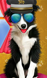 Play Pet Dogs Cool Makeover